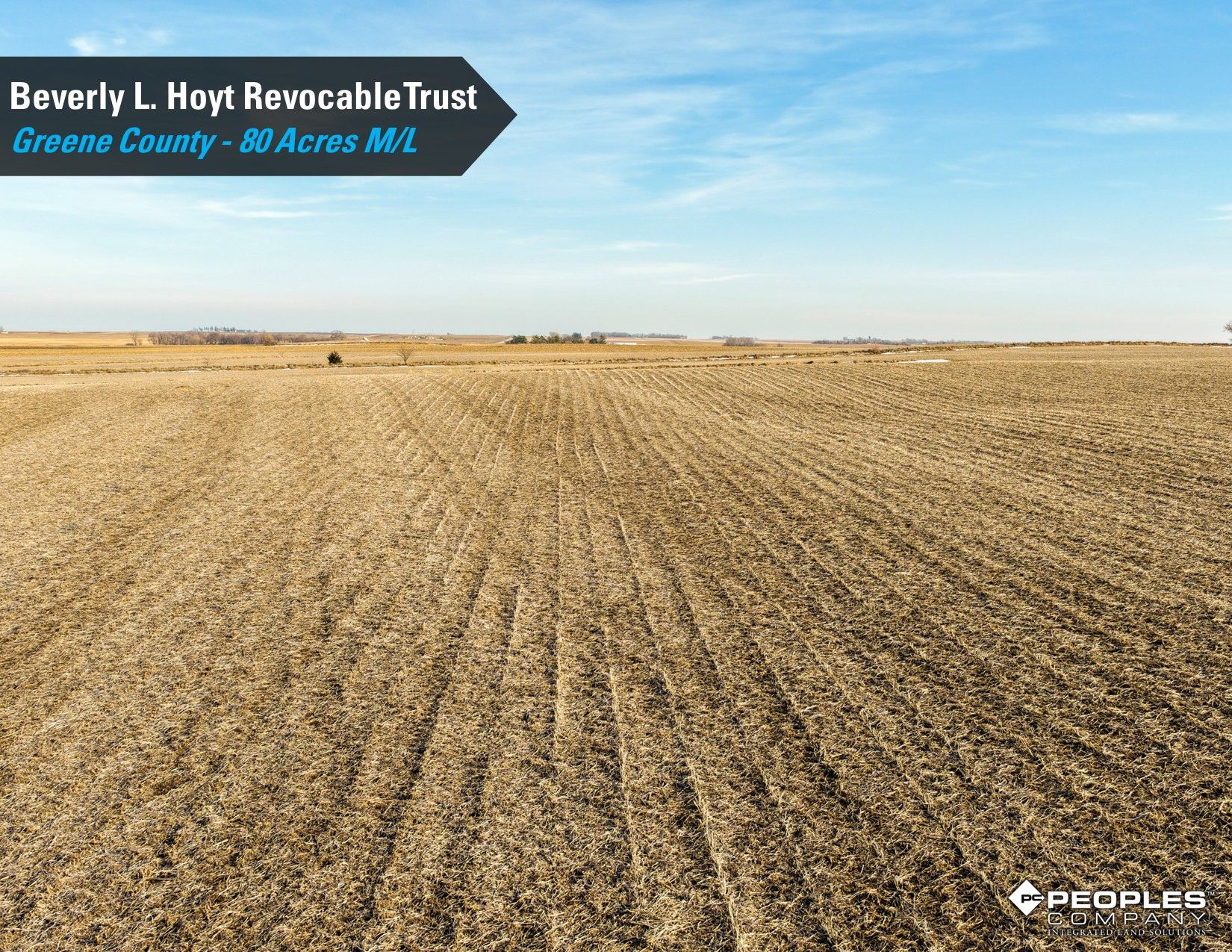 Listing Photo: Hoyt-Trust-Greene-County-Iowa-80Acres-Scranton-18837 (14)